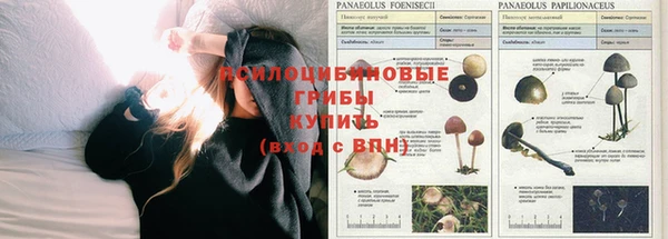 МДМА Горнозаводск