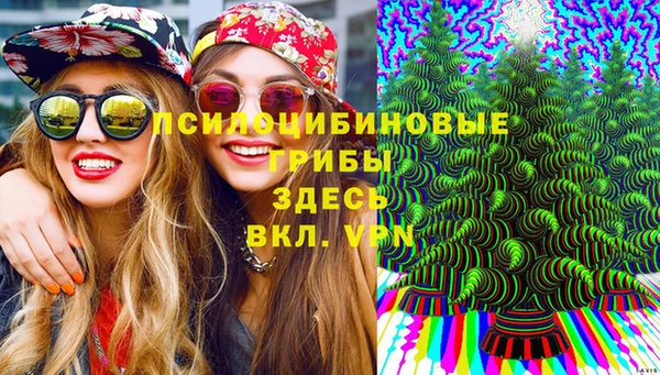 ешки Вязники