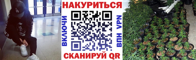 Купить где  Нытва  Канабис индика 